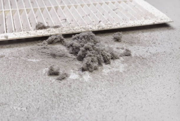 Best Affordable HVAC Duct Cleaning  in Echelon, NJ