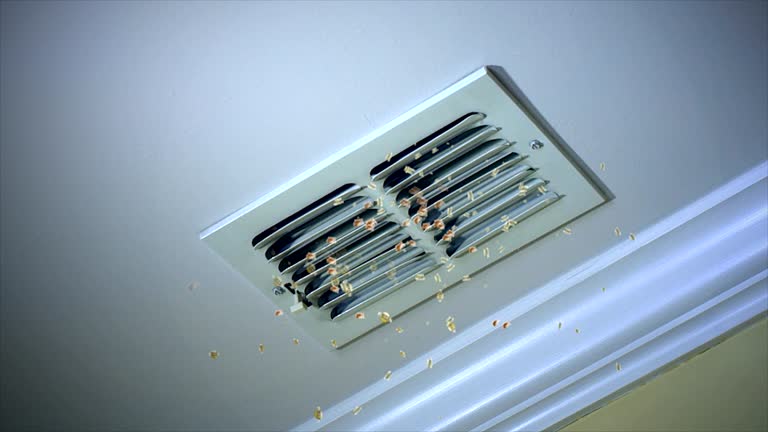 Best Affordable HVAC Duct Cleaning  in Echelon, NJ