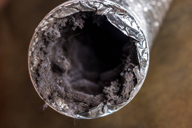 Best HVAC System Cleaning  in Echelon, NJ